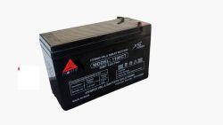 12V / 9Ah SMF